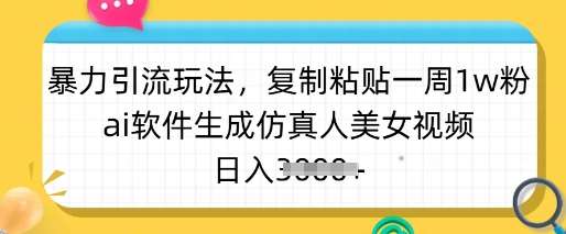 暴力引流玩法，复制粘贴一周1w粉，ai软件生成仿真人美女视频，日入多张-知创网