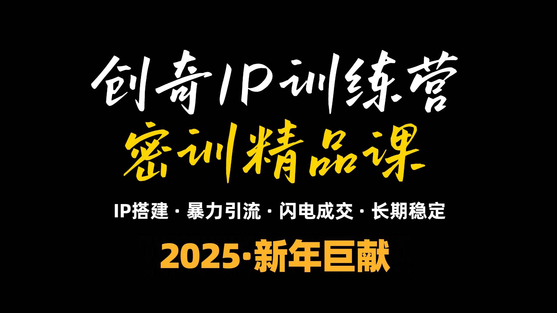（13898期）2025年“知识付费IP训练营”小白避坑年赚百万，暴力引流，闪电成交-知创网