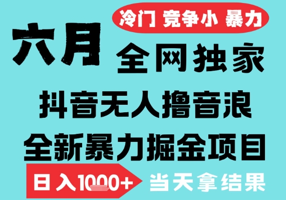 2025年6月高爆抖音无人直播最新撸音浪掘金项目，无脑日入1k+，低门槛小白可做，可矩阵放大【揭秘】-知创网