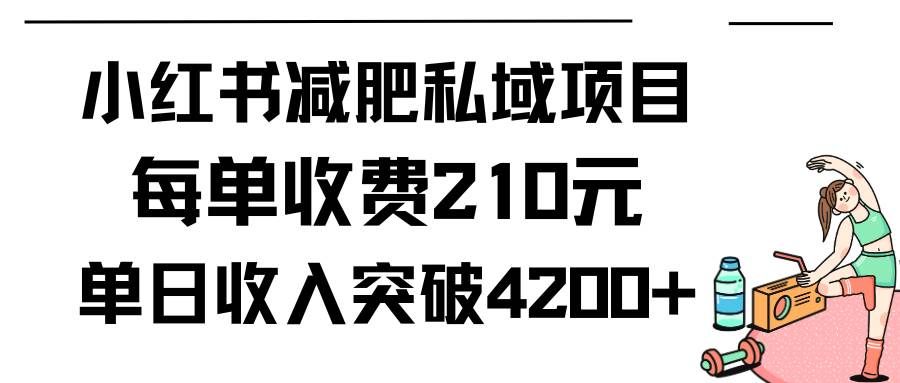 （9466期）小红书减肥私域项目每单收费210元单日成交20单，最高日入4200+-知创网