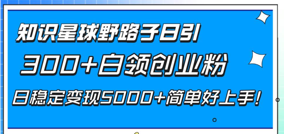 （8315期）知识星球野路子日引300+白领创业粉，日稳定变现5000+简单好上手！-知创网