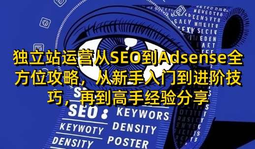 独立站运营从SEO到Adsense全方位攻略，从新手入门到进阶技巧，再到高手经验分享-知创网