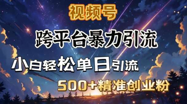 跨平台暴力引流，私域完美闭环，日引500+精准创业粉-知创网