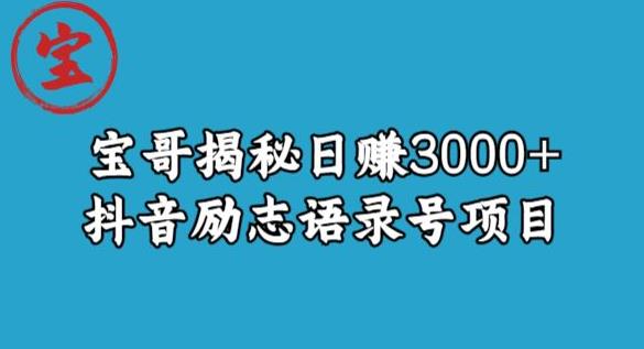 宝哥揭秘日赚3000+抖音励志语录号短视频变现项目-知创网