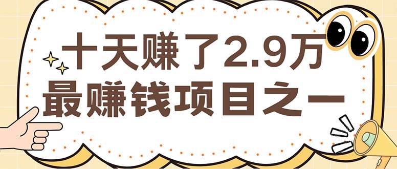 （12491期）闲鱼小红书赚钱项目之一，轻松月入6万+项目-知创网