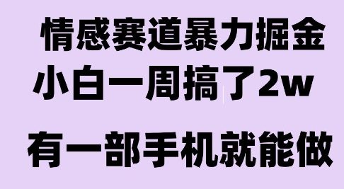 情感暴力掘金项目，新人操作一周挣了2W，长期稳定小白可做【揭秘】-知创网