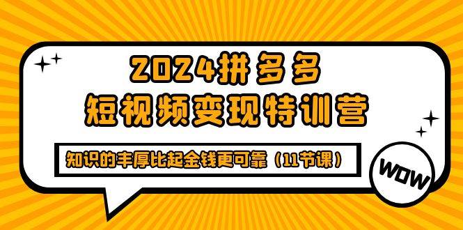 （9817期）2024拼多多短视频变现特训营，知识的丰厚比起金钱更可靠（11节课）-知创网