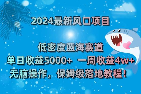 （8545期）2024最新风口项目 低密度蓝海赛道，日收益5000+周收益4w+ 无脑操作，保…-知创网