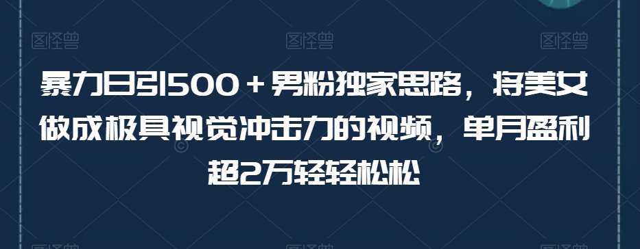 暴力日引500+男粉独家思路,将美女做成极具视觉冲击力的视频,单月盈利超2万轻轻松松-知创网