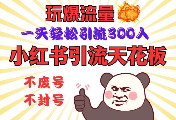 小红书引流天花板，玩爆流量，一天轻松引流300人，安全操作-知创网