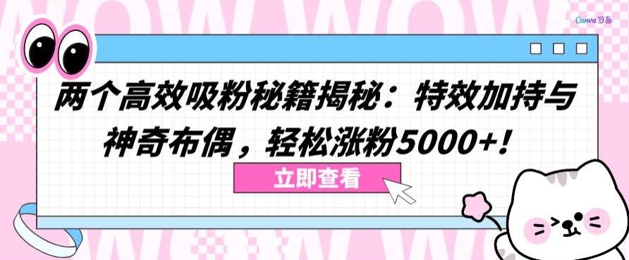 两个高效吸粉秘籍揭秘:特效加持与神奇布偶,轻松涨粉5000+【揭秘】-知创网