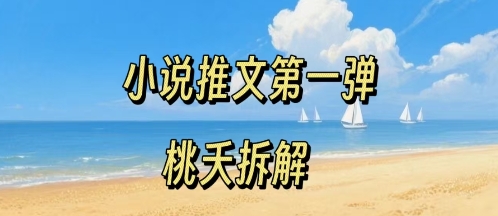 小说推文项目操作全流程第一弹，0粉就能做，门槛低非常适合新手-知创网