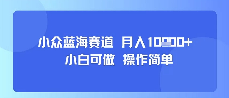小众蓝海赛道，小白可做，操作简单，每天30分钟，月入1W+-知创网