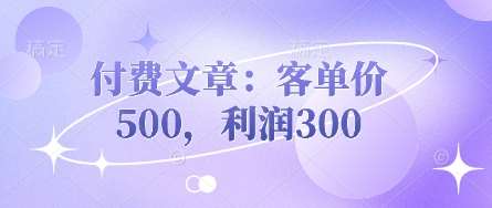 付费文章:客单价500,利润300-知创网