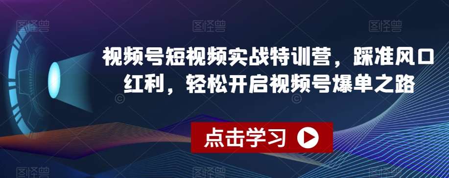 视频号短视频实战特训营，踩准风口红利，轻松开启视频号爆单之路-知创网