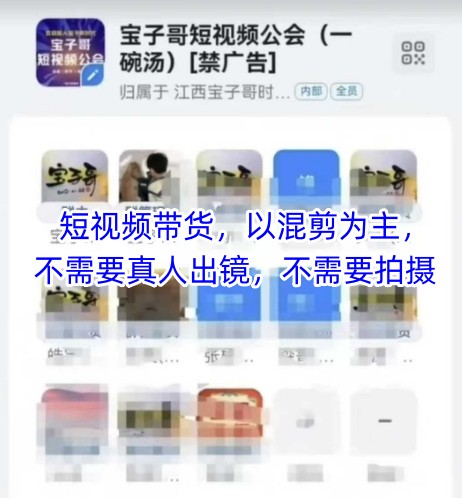 宝子哥头部团队短视频带货，以混剪为主，不需要真人出镜，不需要拍摄【更新】-知创网