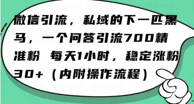 怎么搞精准创业粉？微信新赛道，每天一小时，利用Ai一个问答日引100精准粉-知创网