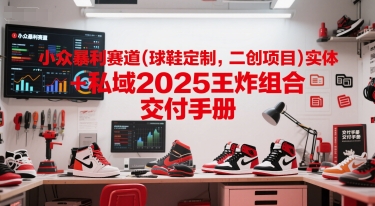 小众暴利赛道(球鞋定制，二创项目)实体+私域2025王炸组合  交付手册-知创网
