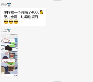 图片[2]-问卷调查兼职项目，随时可做 超低门槛 单号日撸20+-知创网