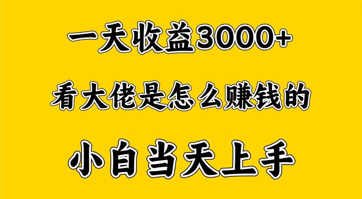 一天赚3000多，大佬是这样赚到钱的，小白当天上手，穷人翻身项目-知创网