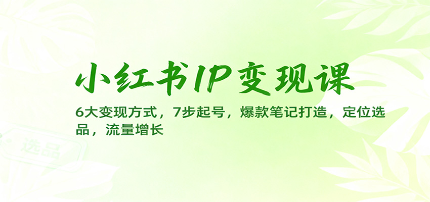 小红书IP变现课:6大变现方式,7步起号,爆款笔记打造,定位选品,流量增长-知创网
