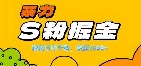 单人单机日引千粉,变现1k+,S粉流量掘金计划攻略【揭秘】-知创网