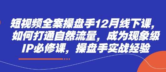 短视频全案操盘手12月线下课，如何打通自然流量，成为现象级IP必修课，操盘手实战经验-知创网
