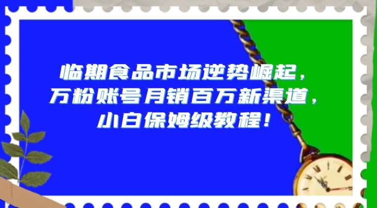 临期食品市场逆势崛起，万粉账号月销百万新渠道，小白保姆级教程【揭秘】-知创网