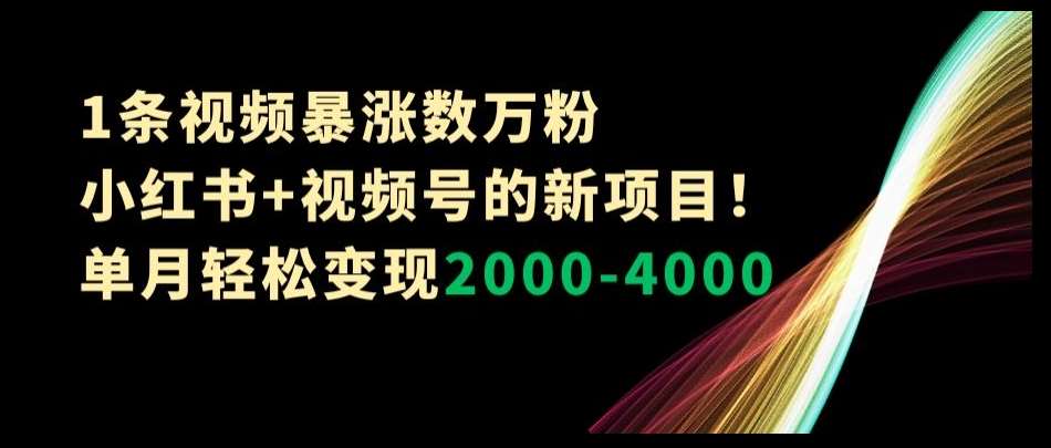 1条视频暴涨数万粉–小红书+视频号的新项目！单月轻松变现2000-4000【揭秘】-知创网