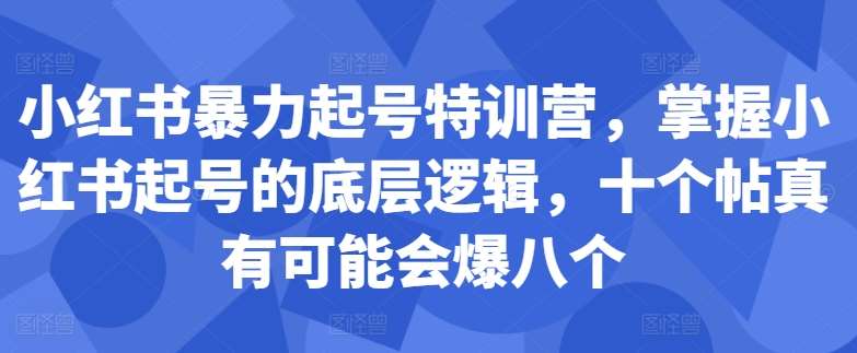 小红书暴力起号特训营，掌握小红书起号的底层逻辑，十个帖真有可能会爆八个-知创网
