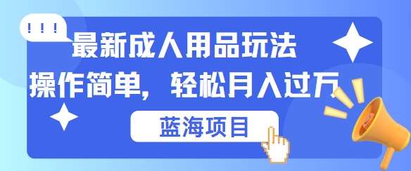 最新成人用品项目玩法，操作简单，动动手，轻松日入几张【揭秘】-知创网