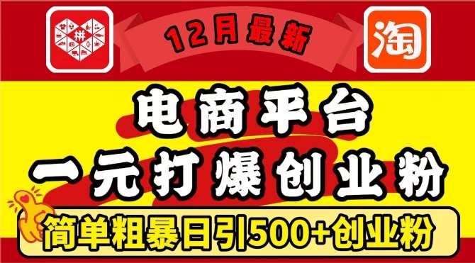 12月最新：电商平台1元打爆创业粉，简单粗暴日引500+精准创业粉，轻松月入过W【揭秘】-知创网