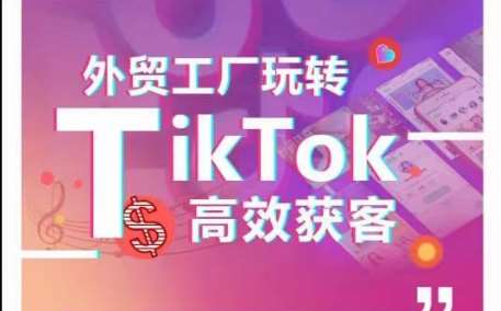 外贸工厂玩转TikTok高效获客，多种引流方式与账号定位技巧，拆解爆款短视频打造成功案例-知创网