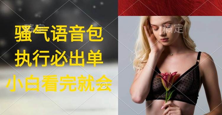 （9589期）执行就出单，日入2000+，超火骚气语音包，小白看完课程就能马上实操-知创网