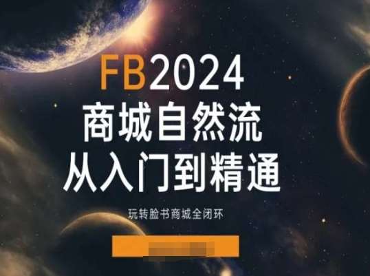 2024Faceboo商城自然流(从入门到精通)，玩转脸书商城全闭环-知创网