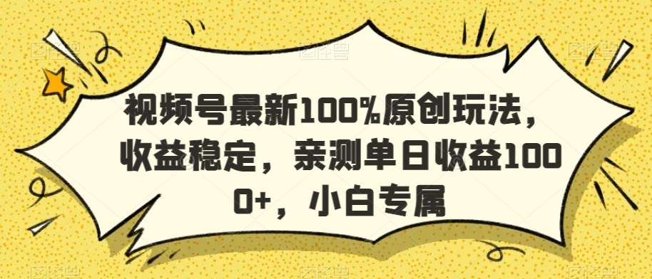 视频号最新100%原创玩法，收益稳定，亲测单日收益1000+，小白专属【揭秘】-知创网