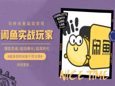 手把手教你0到1系统玩转闲鱼变现，爆款思维/超级曝光/超高转化-知创网