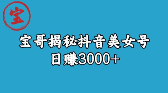 宝哥揭秘抖音美女号玩法，日赚3000+【揭秘】-知创网