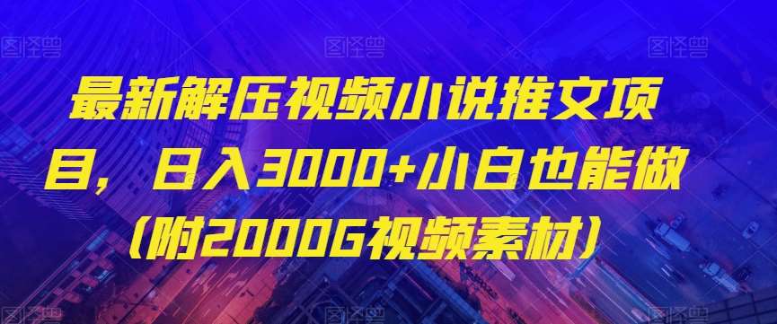 最新解压视频小说推文项目,日入3000+小白也能做(附2000G视频素材)【揭秘】-知创网