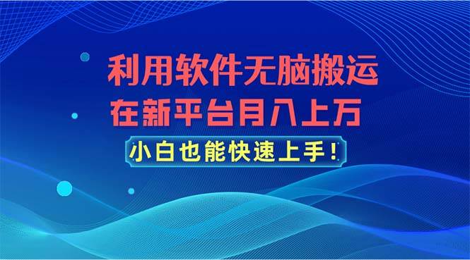 （11078期）利用软件无脑搬运，在新平台月入上万，小白也能快速上手-知创网