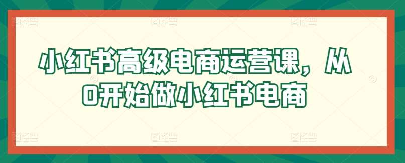 小红书高级电商运营课，从0开始做小红书电商-知创网