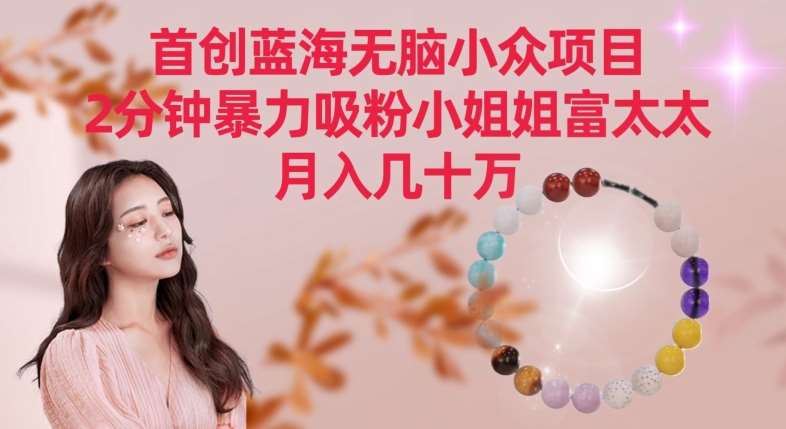 首创蓝海无脑小众项目,2分钟暴力吸粉小姐姐富太太,月入几十万【揭秘】-知创网