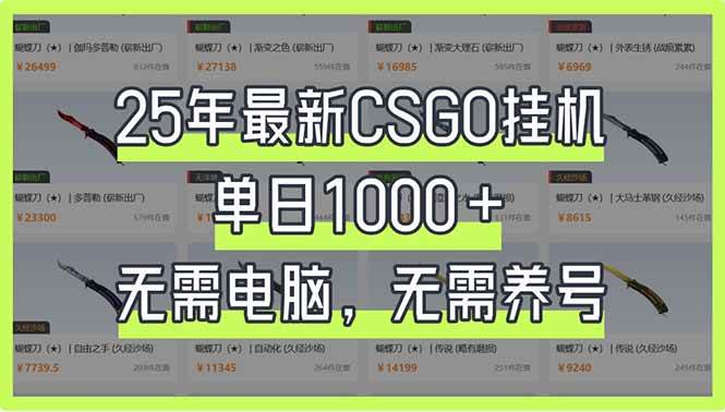 (14178期)25年最新CSGO挂机系统,单日1000+,无需电脑,无需养号,0基础可上手-知创网