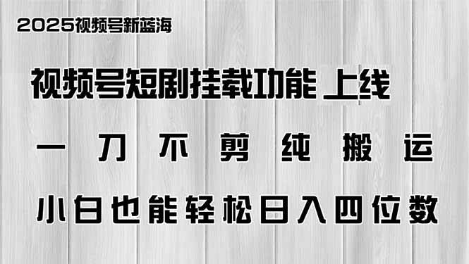 （14310期）视频号短剧挂载功能上线，一刀不剪纯搬运，小白也能轻松日入四位数-知创网