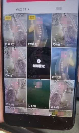 图片[2]-外面卖399的国学佛像原创暴力起号技术，快速起号，7天可达到一个万粉号-知创网