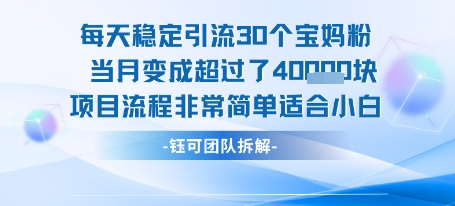 每天稳定引流30个人 当月变成超过了4个W项目流程非常简单适合小白-知创网
