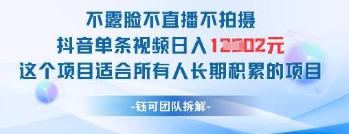 不露脸不直播不拍摄抖音单条视频日入1k+这个项目适合所有人长期积累的项目-知创网