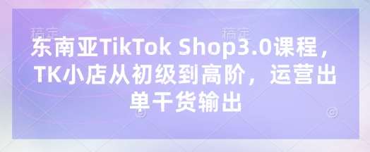 东南亚TikTok Shop3.0课程，TK小店​从初级到高阶，运营出单干货输出-知创网