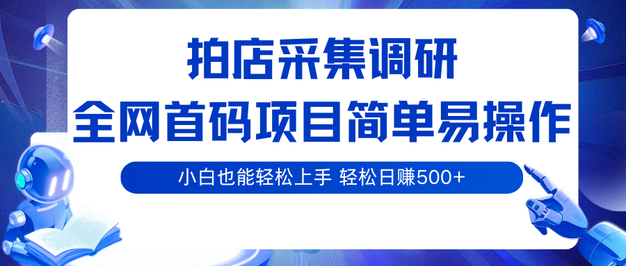 拍店采集调研,全网首码项目,简单易操作, 小白也能轻松上手,轻松日赚500+-知创网
