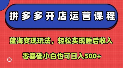 拼多多开店运营课程：蓝海变现玩法，轻松实现睡后收入，零基础小白也可日入5张-知创网